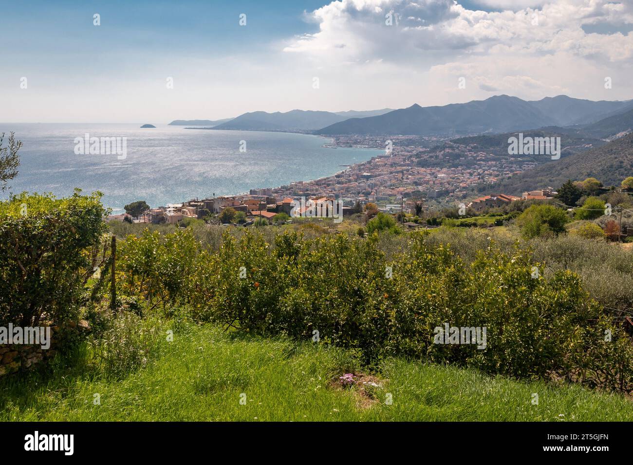 Panorama der PalmenRiviera von einem Orangen- und Olivenhain mit den Küstenstädten Pietra Ligure, Loano und der Gallinara Insel, Savona, Ligurien Stockfoto
