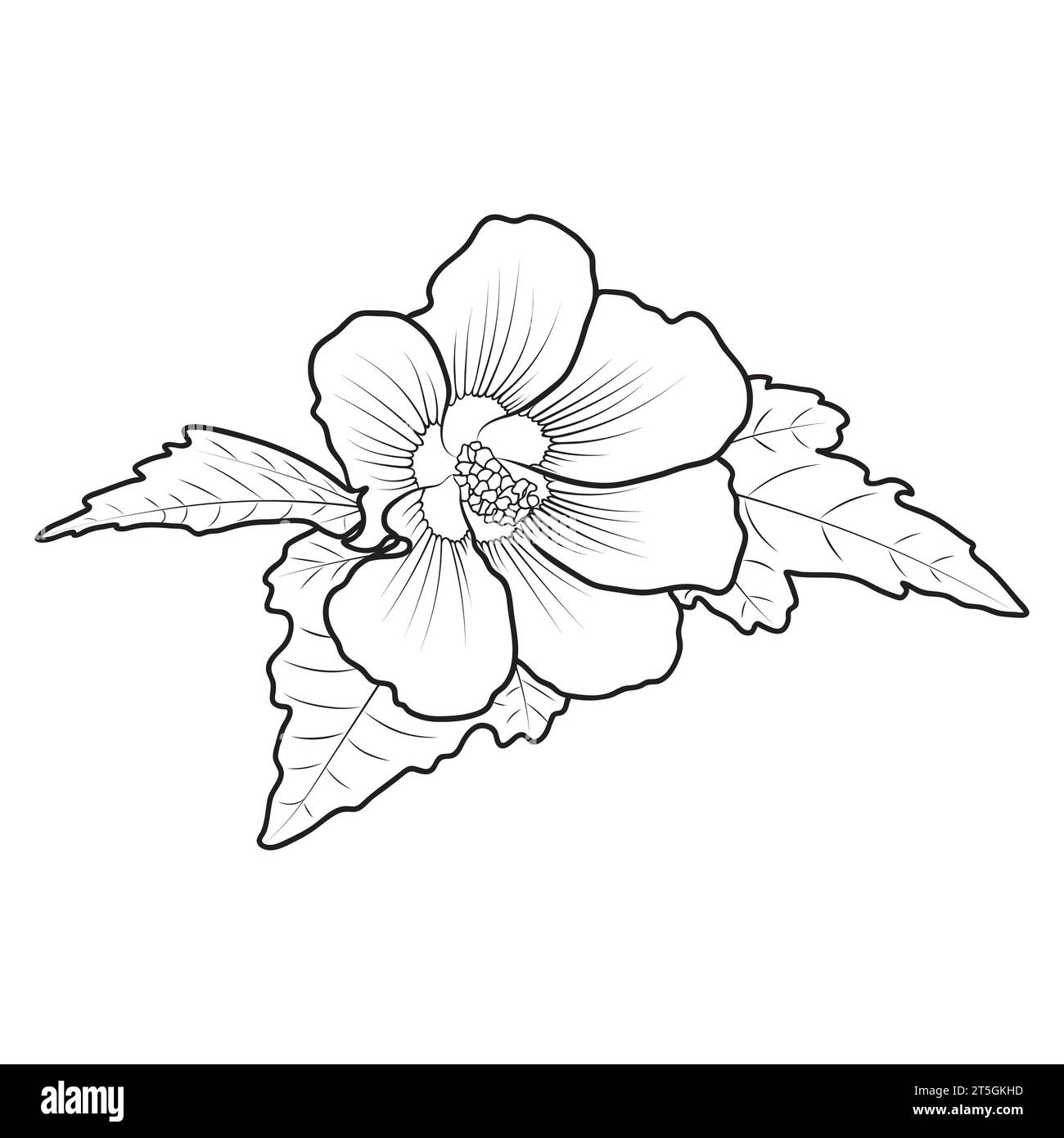Hardy Hibiscus syriacus-Umriss, botanische Vektorillustration. Mehrjährige Hibiskusblüten-Malbuchseite. Stock Vektor