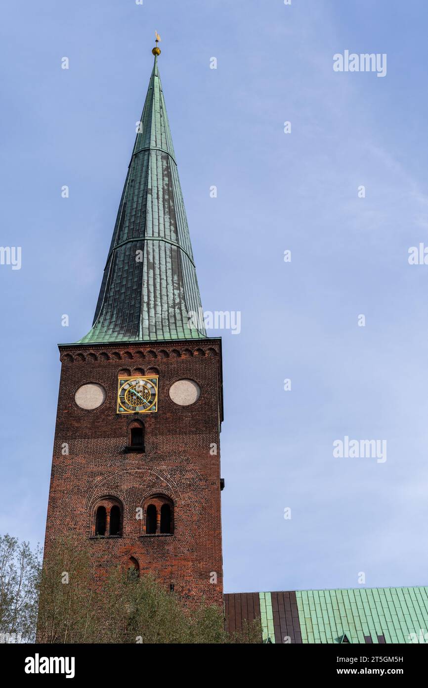 Aarhus Domkirke, Aarhus Cathedral Church, Dänemark Stockfoto