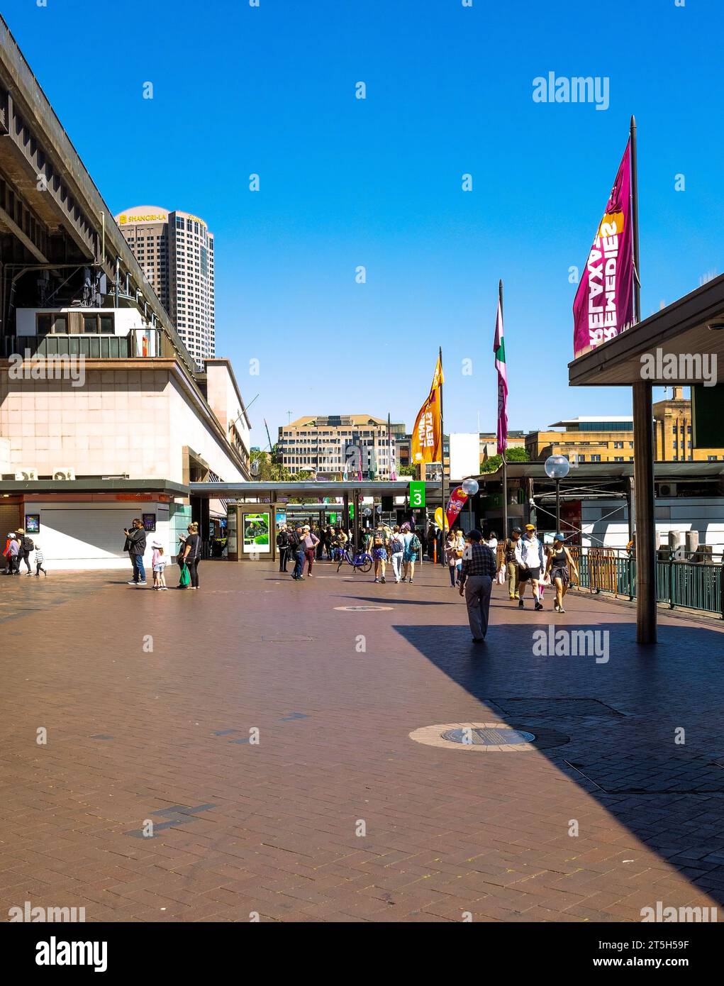 Transport für Fähren und Züge zu anderen Vororten fahren von Circular Quay Everyday, Sydney, NSW, Australien Stockfoto