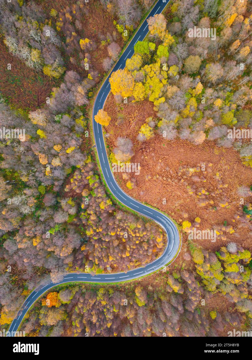 Luftaufnahme der Landstraße am Duke’s Pass in den Trossachs im Herbst bei Aberfoyle, Schottland, Großbritannien Stockfoto