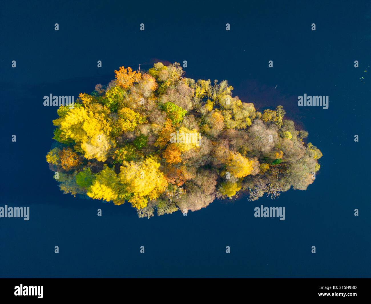 Luftaufnahme der mit Bäumen bewachsenen Insel in Herbstfarben auf Loch Chon, Kinlochard, Schottland, Großbritannien Stockfoto
