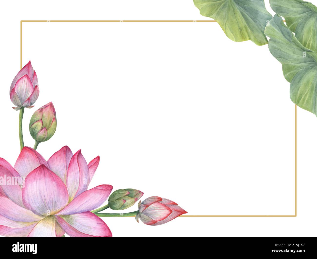 Rahmen aus heiliger indischer Lotusblüte, Knospen, Blättern. Seerose, indischer Lotus, grünes Blatt, Knospen. Horizontaler Rahmen. Leerzeichen für Text. Stockfoto