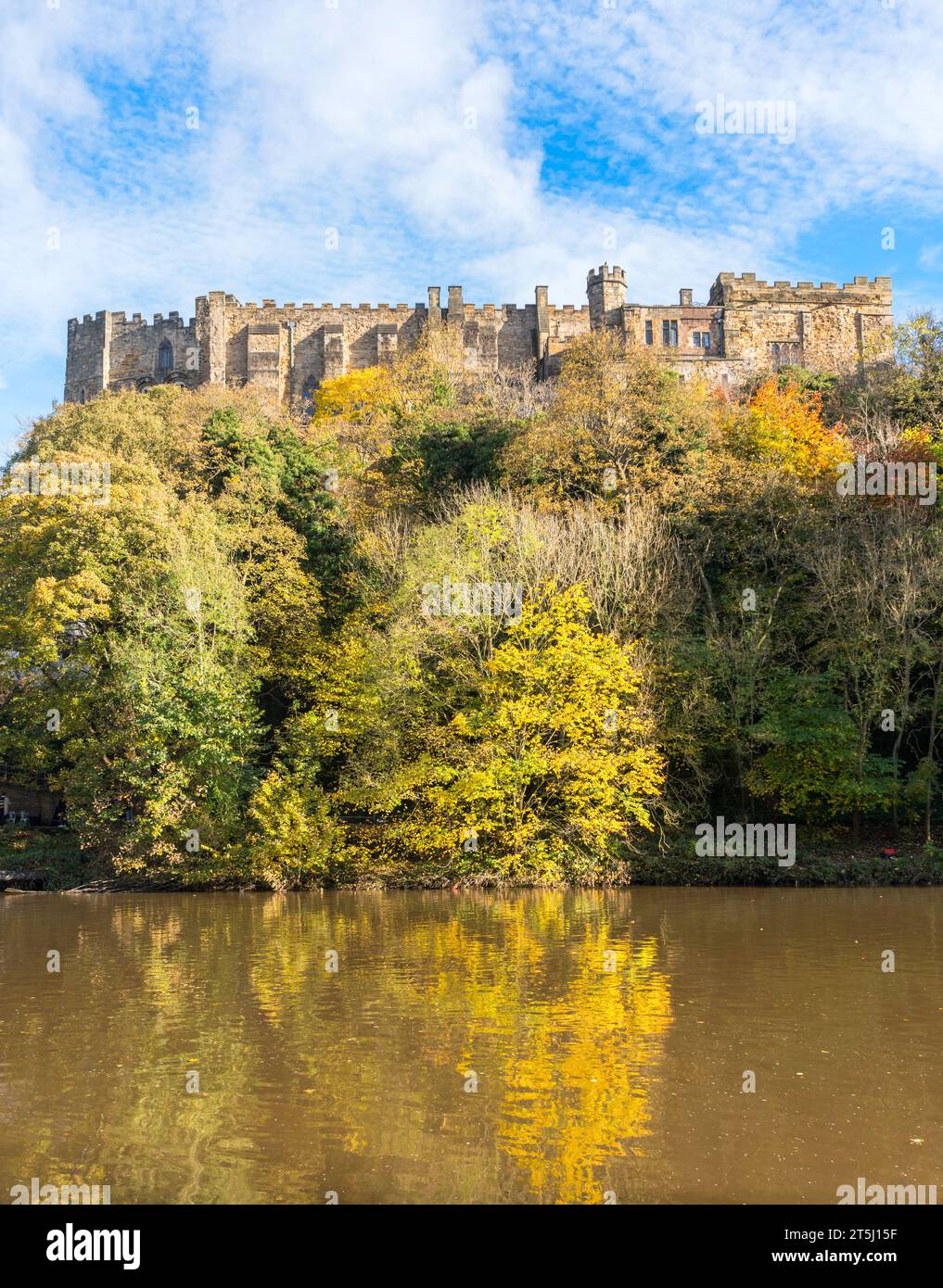 Durham Castle über dem Fluss Wear im Herbst gesehen, Durham City, England, Großbritannien Stockfoto