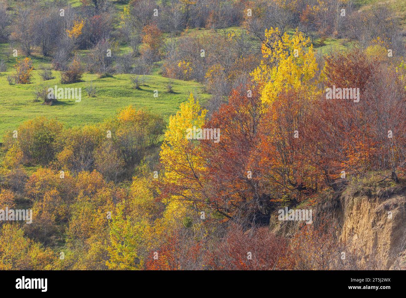 Herbstfarben in den Bergen Stockfoto