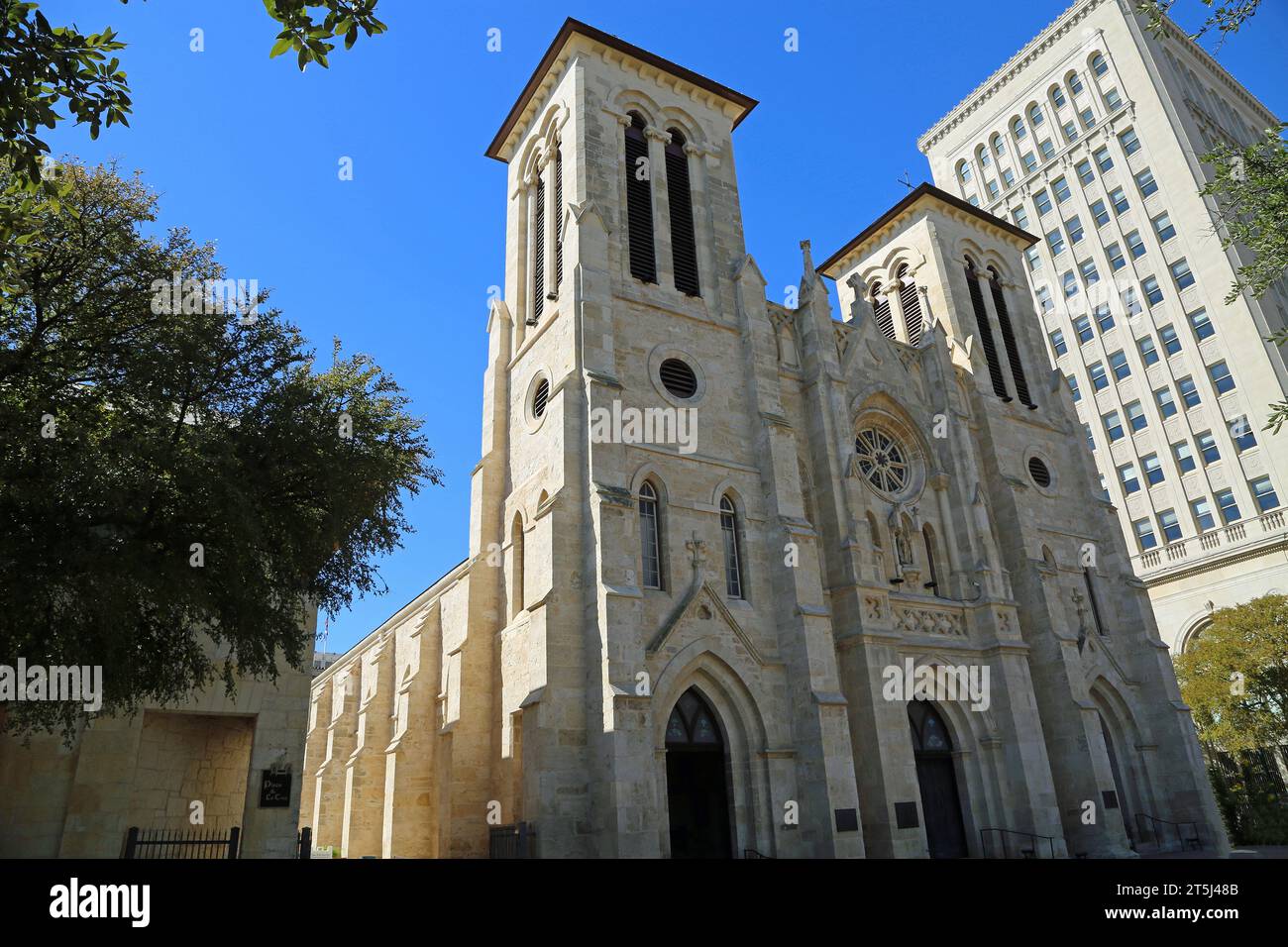 Landschaft mit San Fernando Cathedral, San Antonio, Texas Stockfoto