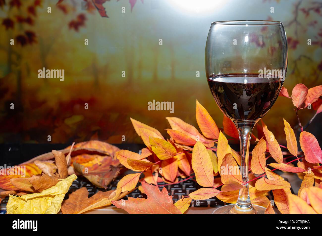 Gelbe und rote Herbstblätter, Rotwein im Glas. Stockfoto