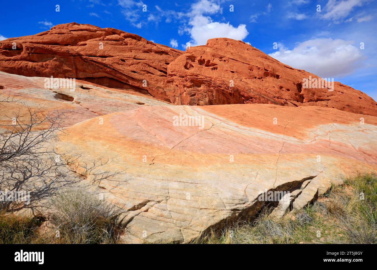 Red Rock, Valley of Fire State Park, Nevada Stockfoto