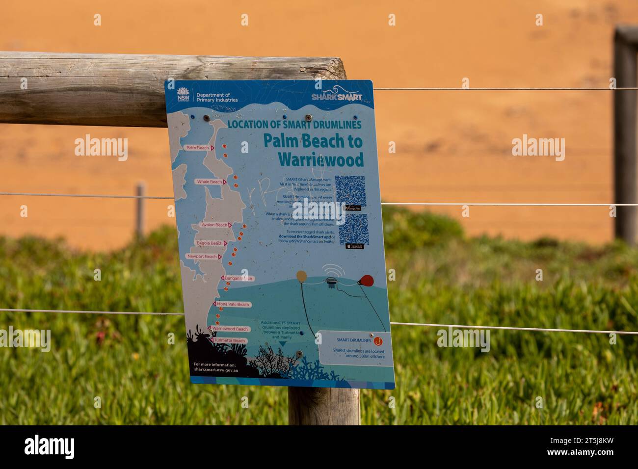 Smarte Drumlines, Shark Smart, zwischen Palm Beach und Warriewood in Sydney, NSW, Australien Stockfoto