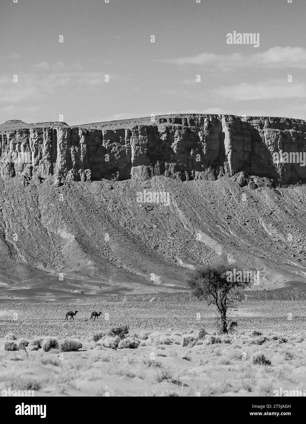 Wüstenlandschaften in der Sahara Stockfoto