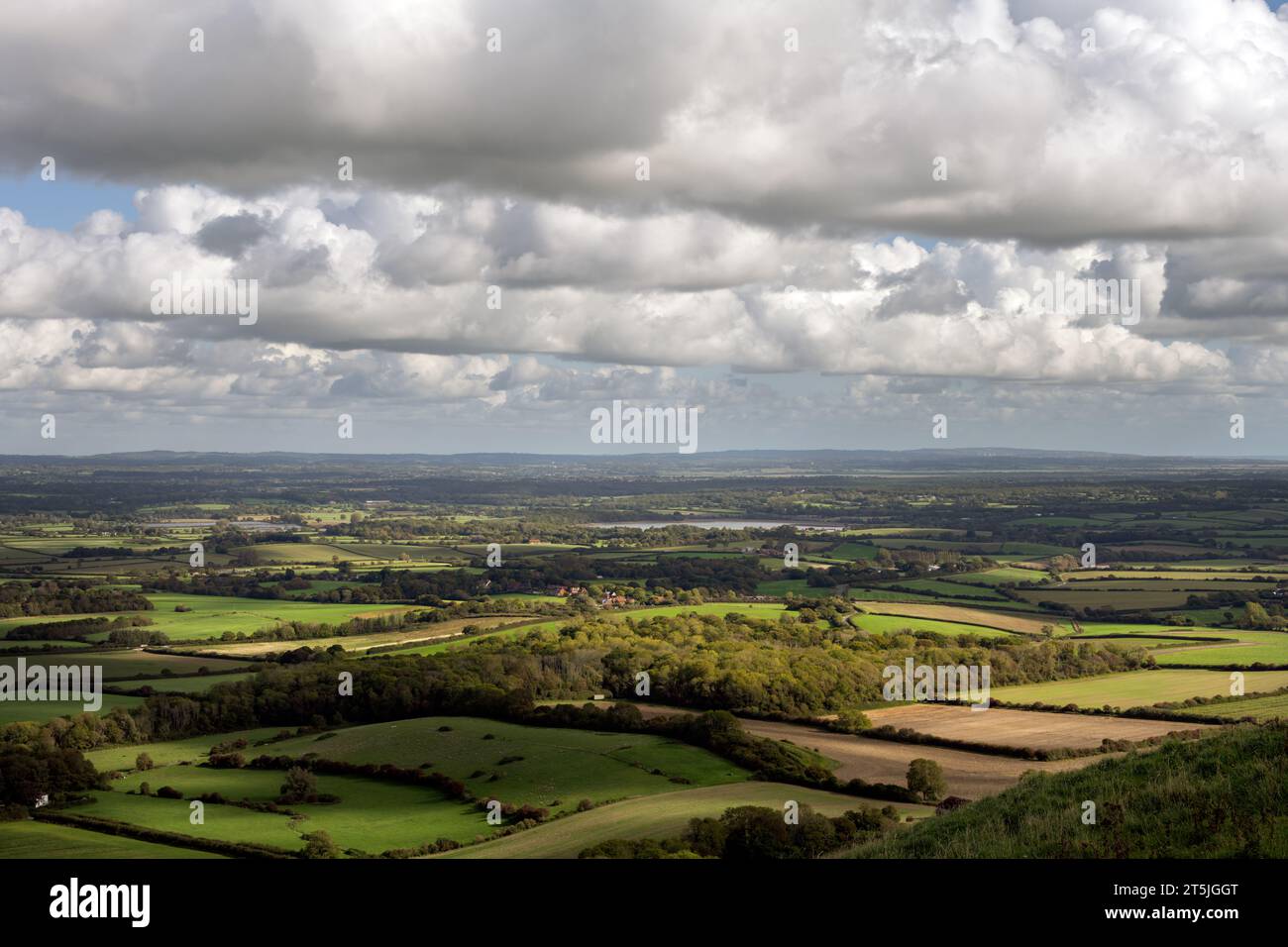 Blick auf das Arlington Reservoir im Herbst, East Sussex, England Stockfoto