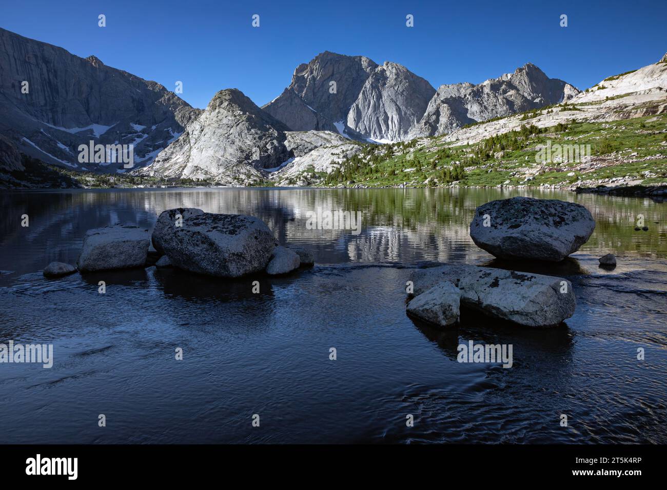 WY05645-00...WYOMING - Temple Peak reflektiert in der Nähe des Auslasses von Deep Lake; Bridger Wilderness Area, Wind River Range. Stockfoto