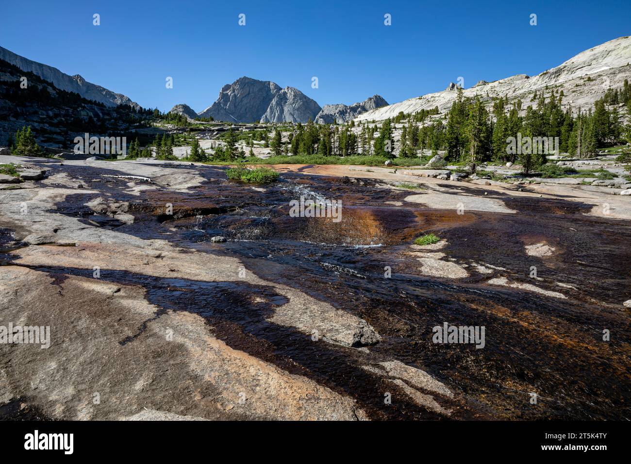 WY05653-00...WYOMING - Little Sandy Creek, der die granitbedeckten Hänge unterhalb des Deep Lake absteigt; Bridger Wilderness. Stockfoto