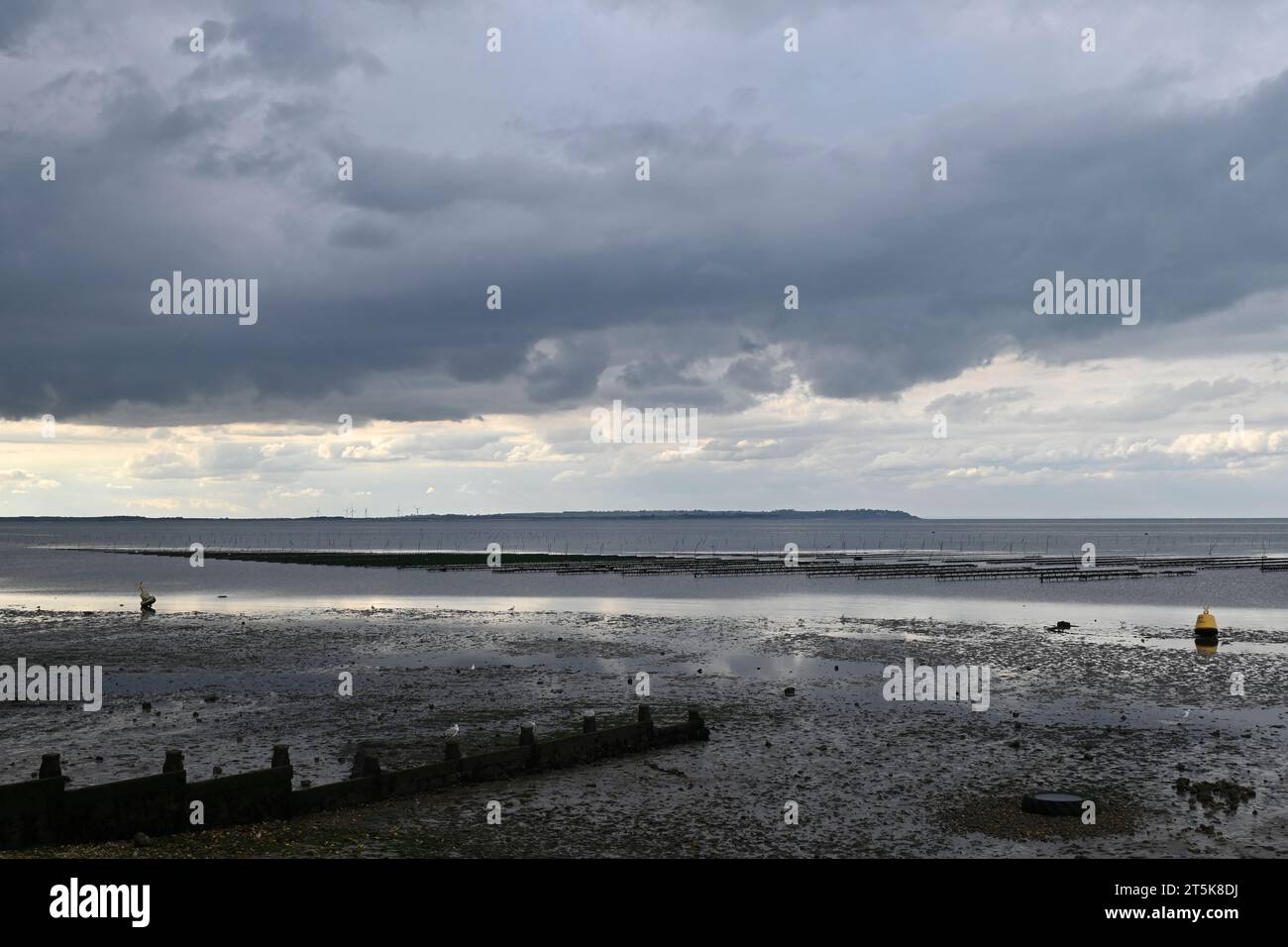 Blick auf die Oyster Betten am Whitstable Beach bei Ebbe Stockfoto