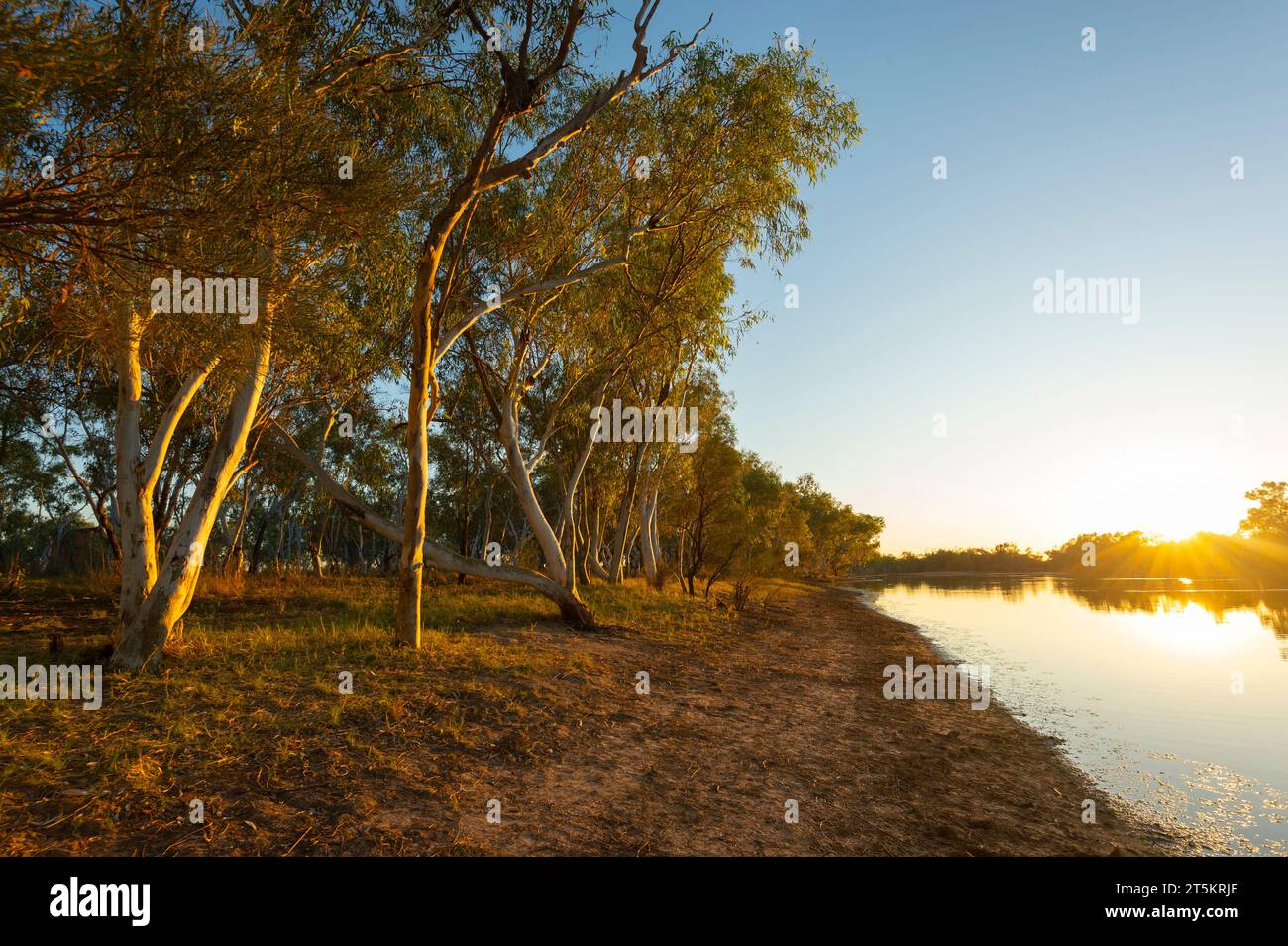 Malerischer Blick auf Lake Stretch oder Nyarna, Canning Stock Route, Western Australia, Australien Stockfoto