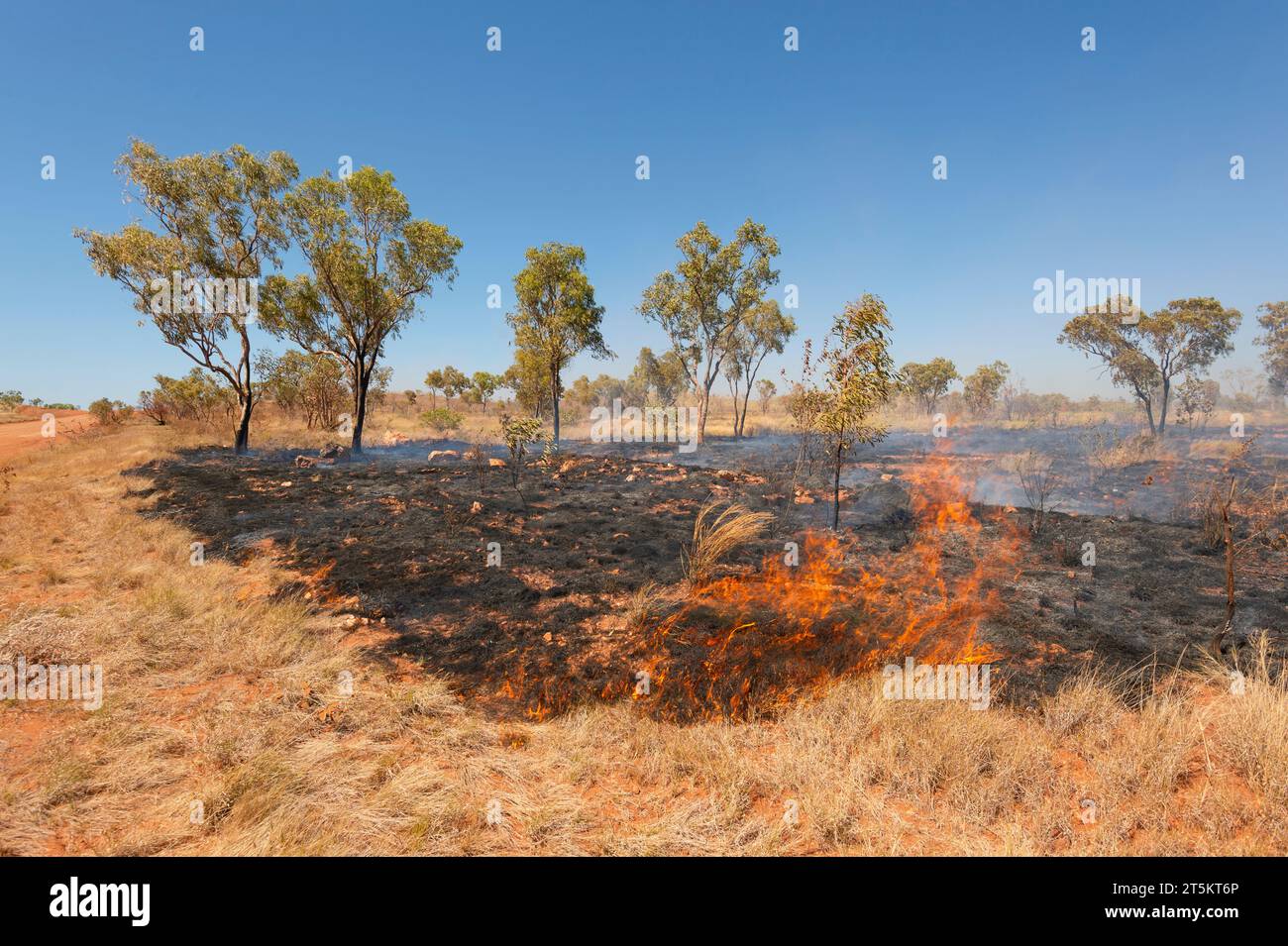 Buschfeuer entlang der Tanami Road, Kimberley Region, Western Australia, Australien Stockfoto