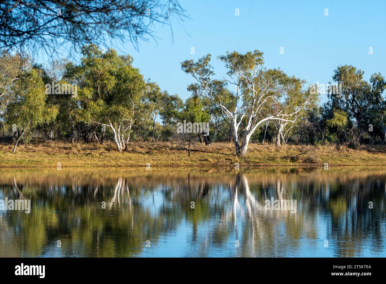 Malerischer Blick auf Lake Stretch oder Nyarna, Canning Stock Route, Western Australia, Australien Stockfoto