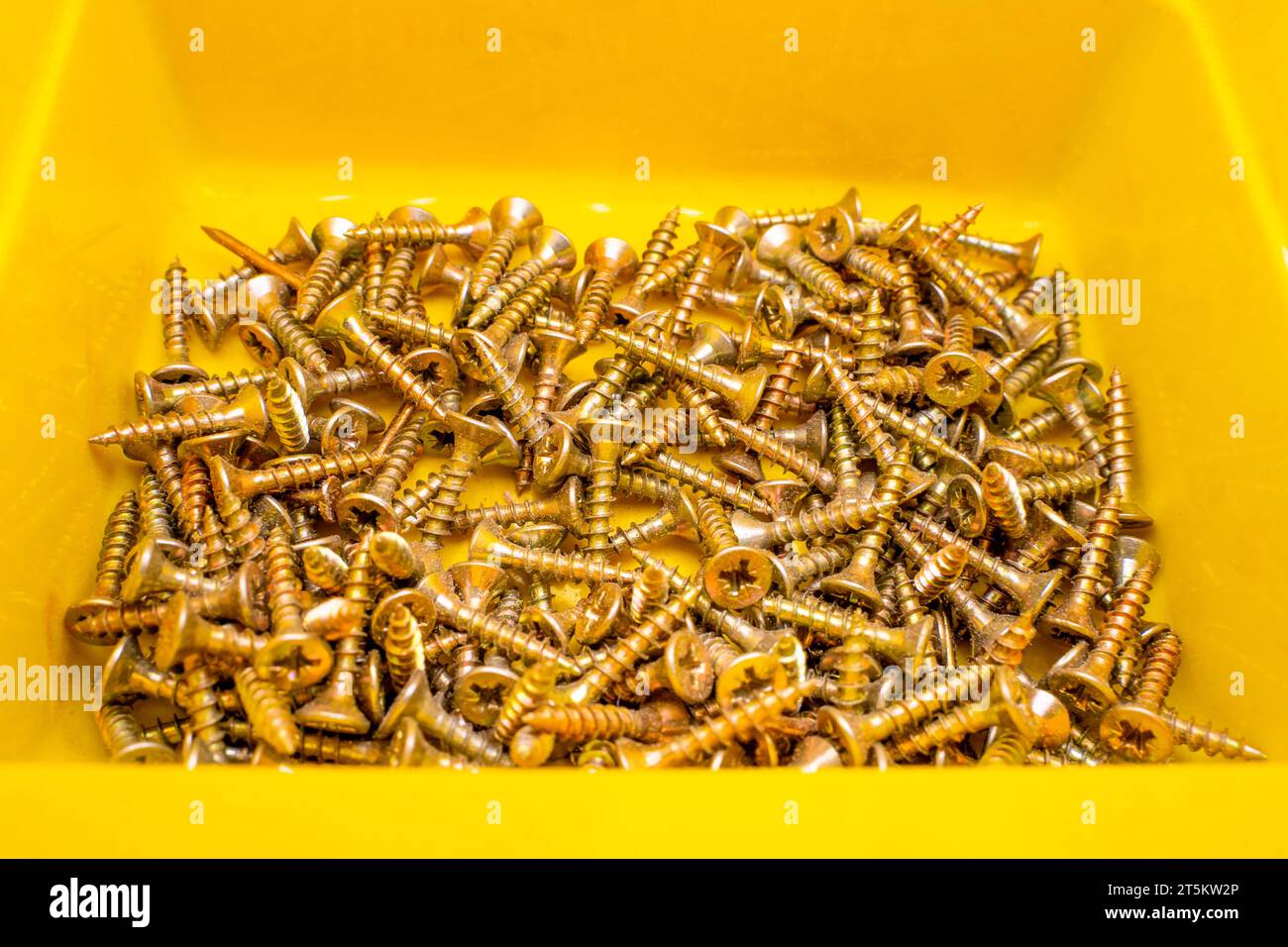 Kleine goldene Holzschrauben in einem gelben Kunststoffbehälter in Nahaufnahme Stockfoto