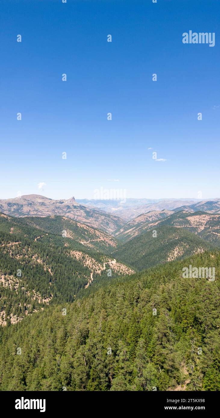 Berge, die mit Wäldern bedeckt sind. Blick aus der Vogelperspektive auf die Berghügel, die mit dichten grünen üppigen Wäldern bedeckt sind, an hellen Sommertagen Stockfoto