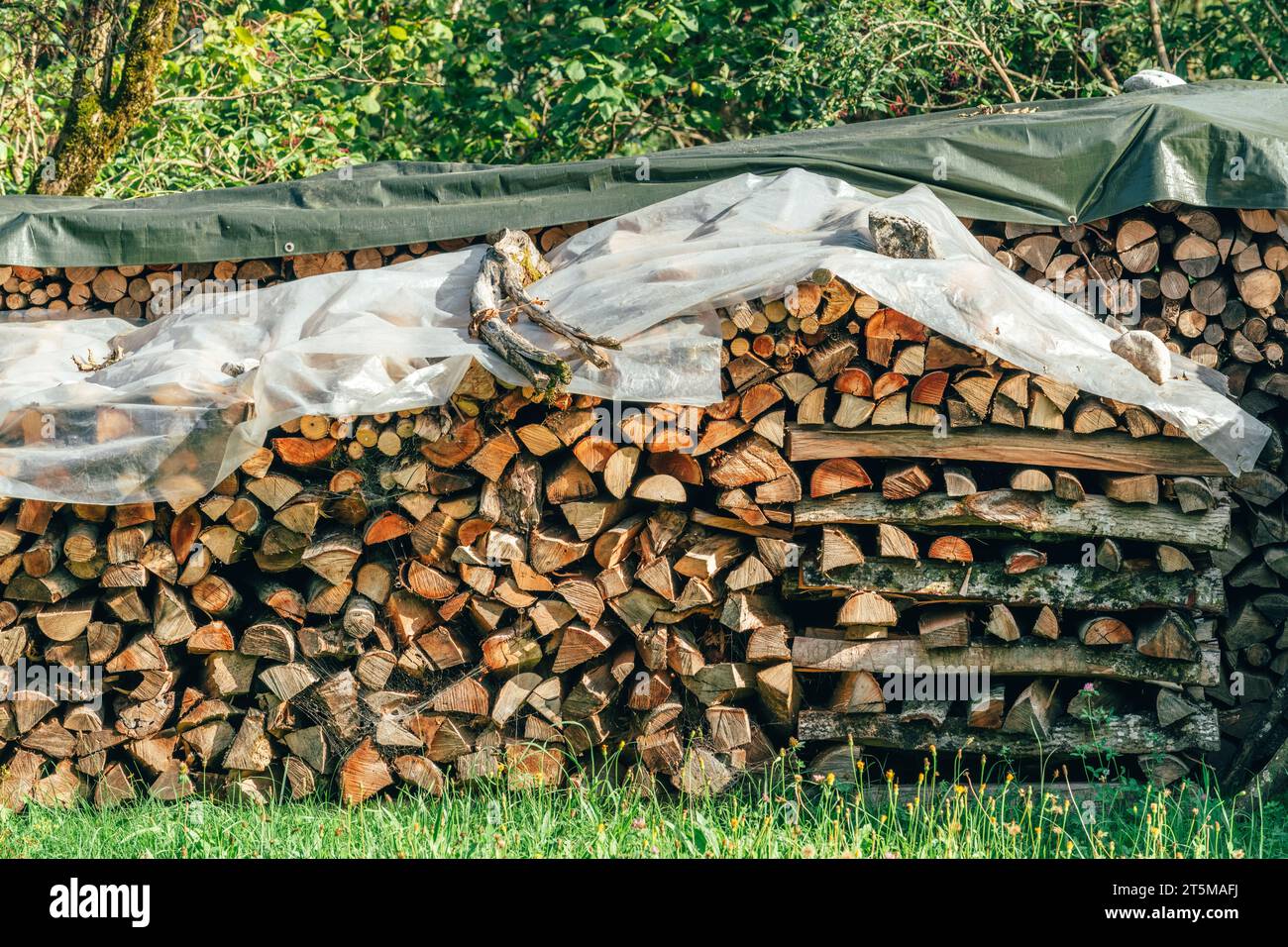 Brennholzstapel auf dem Bauernhof, großer Haufen gehackten Holzes, selektiver Fokus Stockfoto