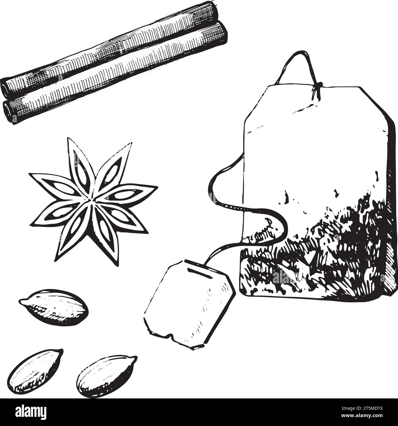 Vektorabbildung. Teebeutel, Kardamomstern, Anis, Zimt im Vektor auf weißem Hintergrund gezeichnet. Zum Bedrucken auf Stoff, Papier, für die Küche Stock Vektor