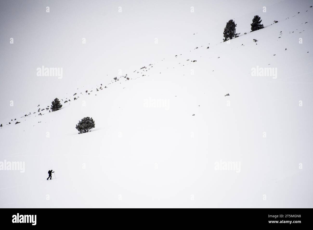 Wanderer in einer weiß verschneiten Winterlandschaft Stockfoto