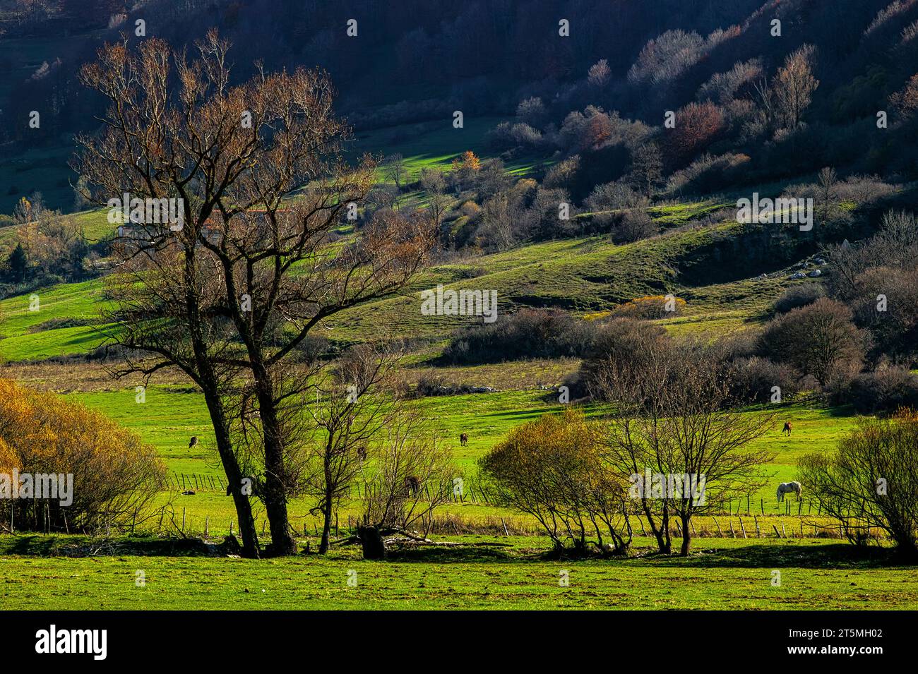Herbstfarben der Vegetation und Landschaft des Val Fondillo in den Abruzzen Latium und Molise Nationalpark. Abruzzen, Italien, Europa Stockfoto