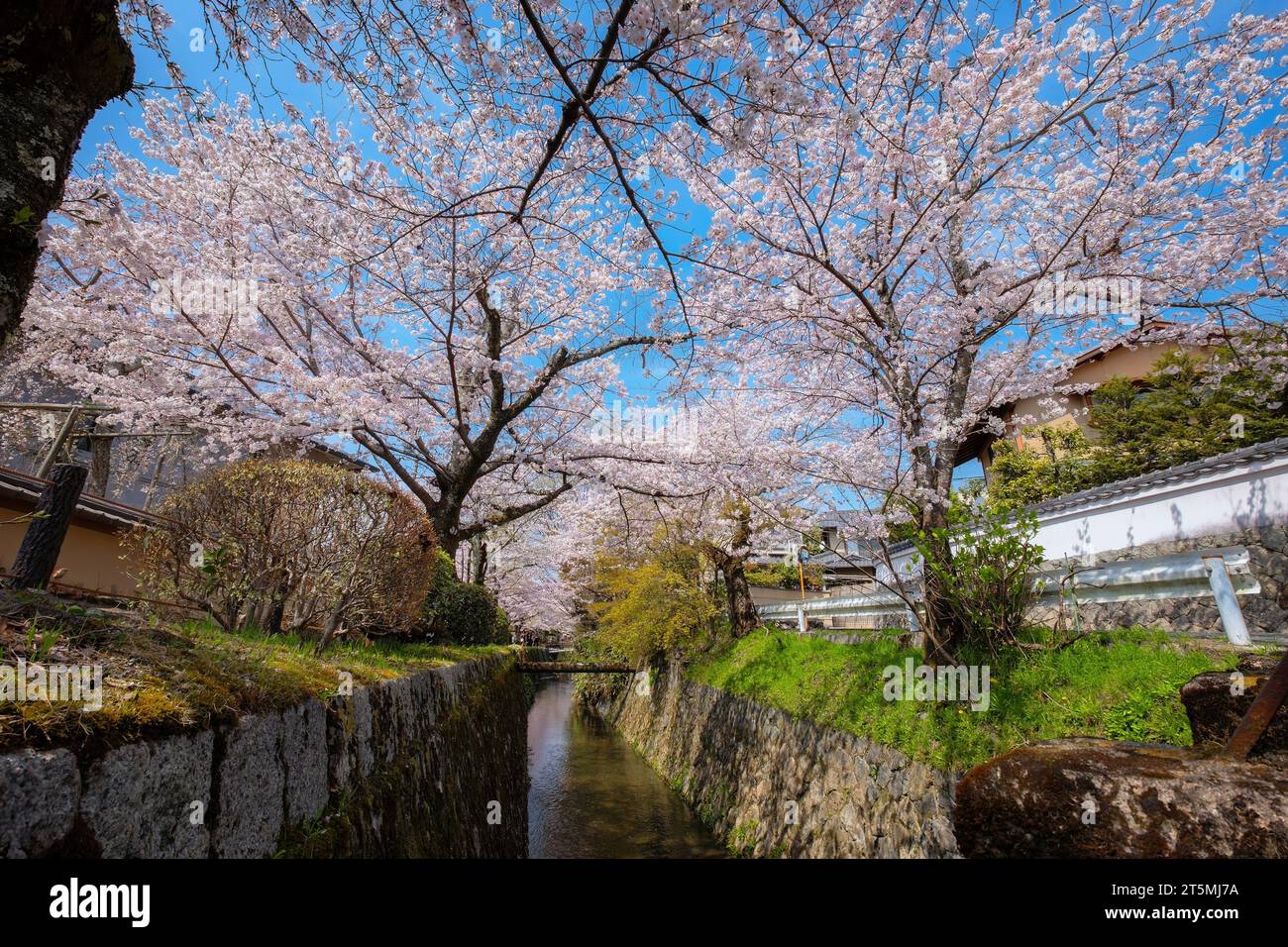 Kyoto, Japan – März 30 2023: Der Weg der Weisen ist ein Steinweg durch den nördlichen Teil des Stadtteils Higashiyama von Kyoto. Der Pfad folgt einer Dose Stockfoto
