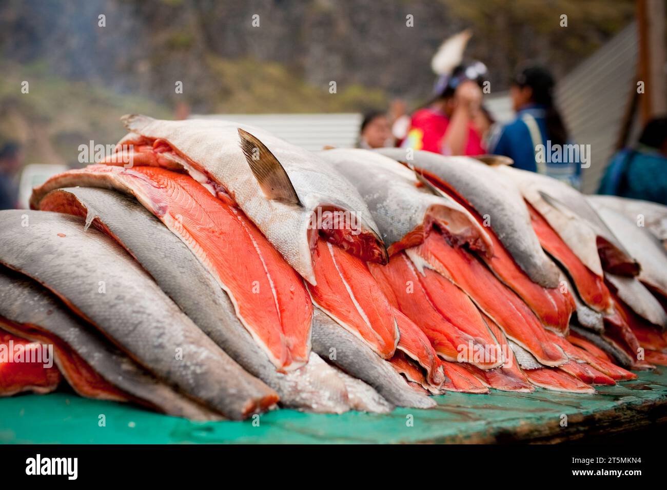 Ein Haufen Lachs wartet darauf, gereinigt und gekocht zu werden. Celilo, Oregon Stockfoto