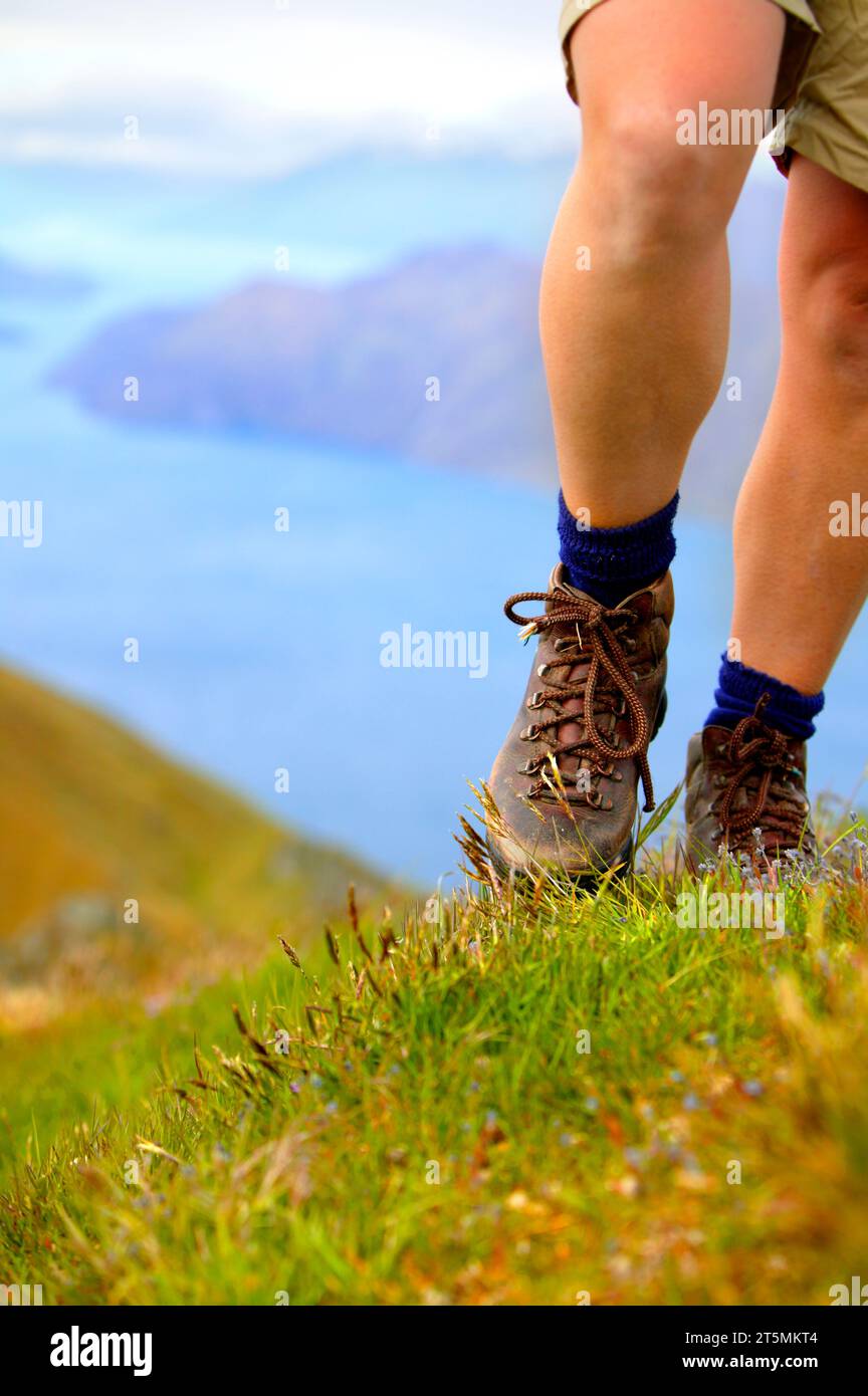 Wandern auf Mount Roy, Lake Wanaka, Neuseeland. Stockfoto