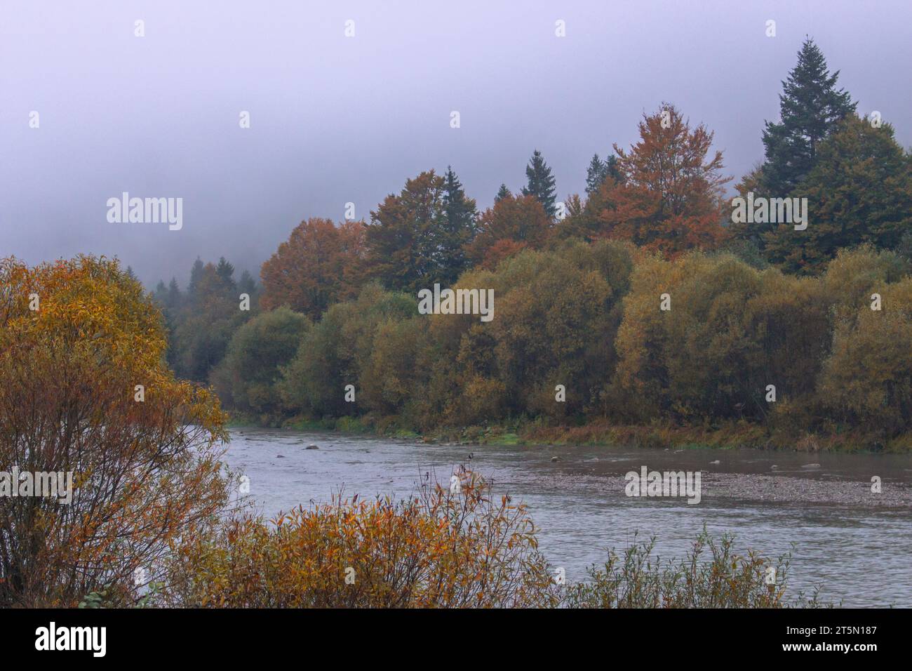 Nebel auf dem Fluss in Herbstbergen. Frostiger Morgen in den Bergen am Flussufer. Ruhige Herbstlandschaft mit Fluss. Malerische nebelige Landschaft. Stockfoto