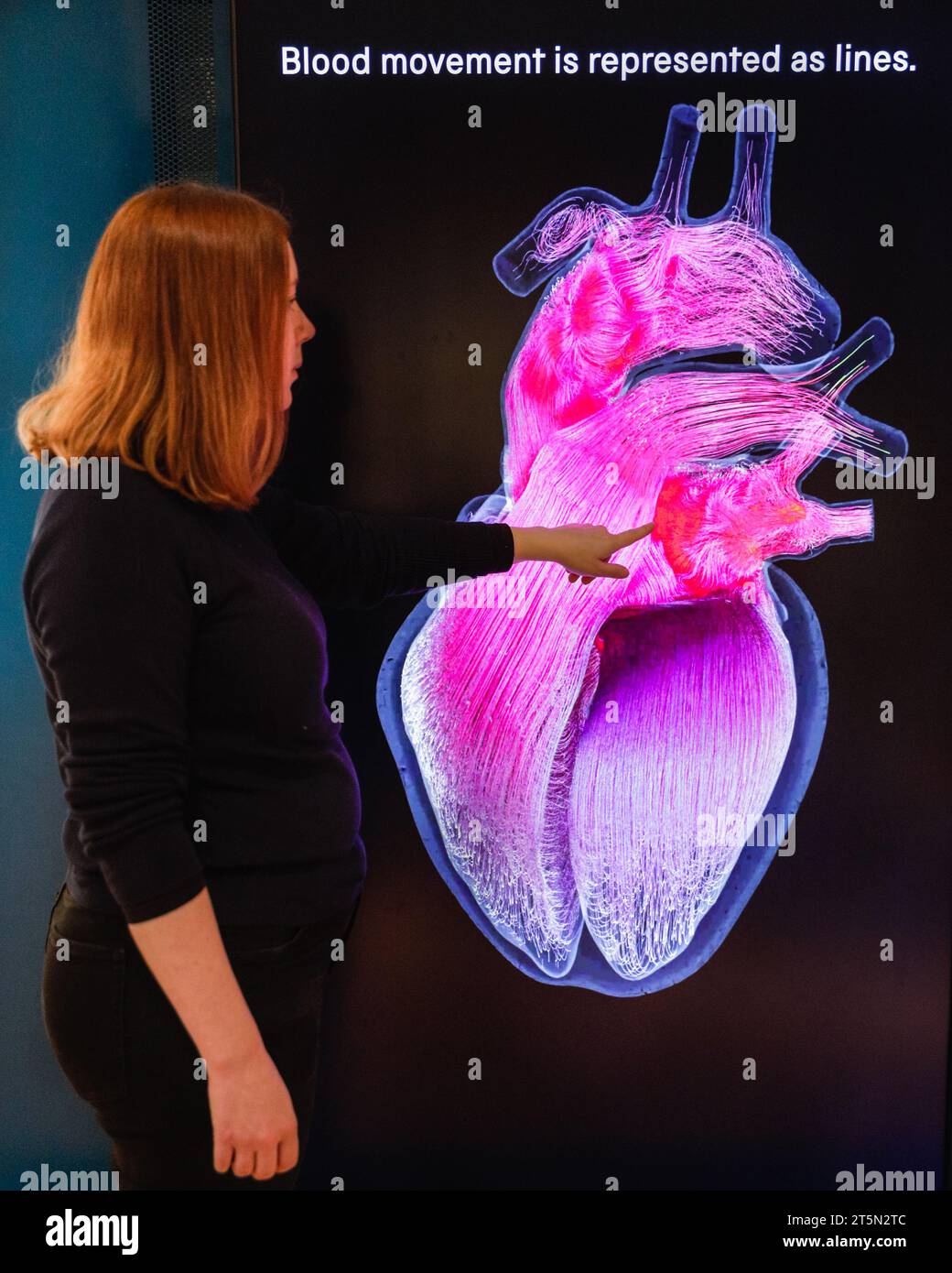 EMBARGO BIS TUE 7. NOV 00:01 UHR LONDON, UK. November 2023. Museumspersonal mit der Ausstellung. Die neue virtuelle Herzanzeige ist ein komplexes, groß angelegtes virtuelles Modell eines menschlichen Herzens, das von dem Bioingenieur Dr. Jazmin Aguado Sierra entwickelt wurde, dem ersten Wissenschaftler, der sein Herz anhand eigener Daten modelliert hat. Der Prozess ist ein wichtiger Schritt für die Forschung. Das Display befindet sich ab 7. November in der Galerie Engineers. Quelle: Imageplotter/Alamy Live News Stockfoto