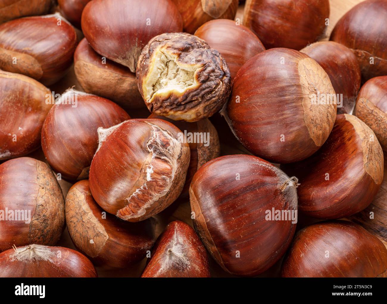 Essbare süße Kastanien mit gerösteter Kastanie. Toller Essenshintergrund für deine Produkte. Stockfoto