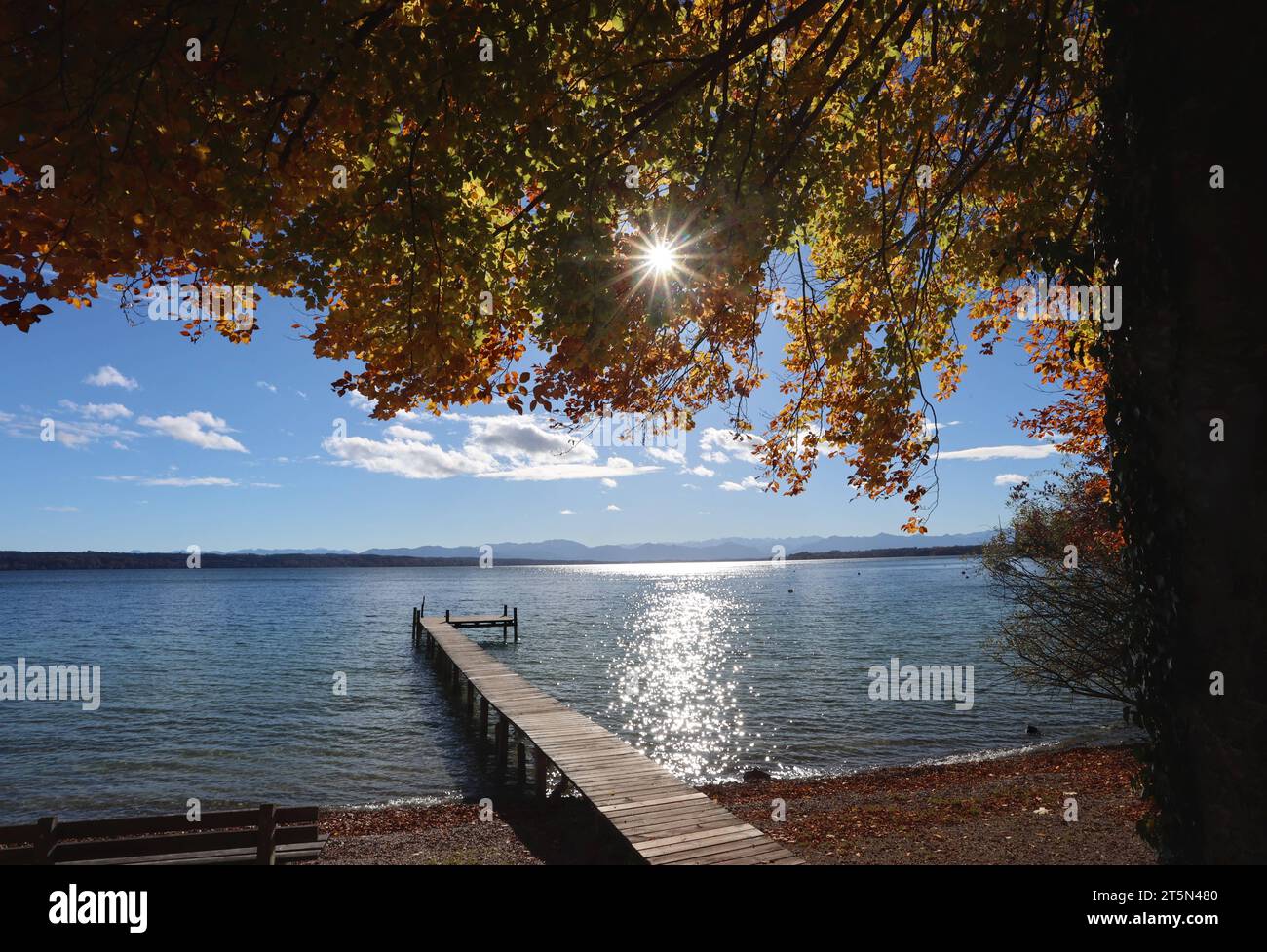 Tutzing, Bayern, Deutschland 06. November 2023: Ein Herbsttag in Tutzing Landkreis Starnberg. Hier der Blick vom Tutzinger Freibad auf den Starnberger See, herbstlich, Färbung, Laub, Herbstbild, Sonne, im Vordergrund der Badesteg, im Hintergrund die Alpenkette, Tourismus, spazieren, wandern, wärme *** Tutzing, Bayern, Deutschland 06 November 2023 ein Herbsttag im Stadtteil Tutzing Starnberg hier der Blick vom Tutzing Freibad auf den Starnberger See, Herbstfarben, Färbung, Laub, Herbstbild, Sonne, im Vordergrund der Badesteg, im Hintergrund die Alpenkette, Tourismus, Wandern, Wandern Stockfoto Tutzing, Bayern, Deutschland 06. November 2023: Ein Herbsttag in Tutzing Landkreis Starnberg. Hier der Blick vom Tutzinger Freibad auf den Starnberger See, herbstlich, Färbung, Laub, Herbstbild, Sonne, im Vordergrund der Badesteg, im Hintergrund die Alpenkette, Tourismus, spazieren, wandern, wärme *** Tutzing, Bayern, Deutschland 06 November 2023 ein Herbsttag im Stadtteil Tutzing Starnberg hier der Blick vom Tutzing Freibad auf den Starnberger See, Herbstfarben, Färbung, Laub, Herbstbild, Sonne, im Vordergrund der Badesteg, im Hintergrund die Alpenkette, Tourismus, Wandern, Wandern Stockfoto