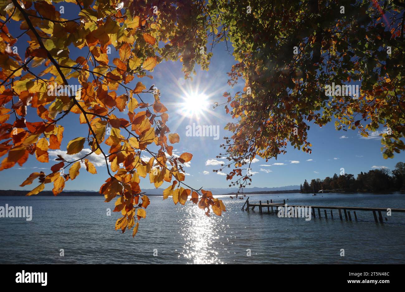 Tutzing, Bayern, Deutschland 06. November 2023: Ein Herbsttag in Tutzing Landkreis Starnberg. Hier der Blick vom Tutzinger Freibad auf den Starnberger See, herbstlich, Färbung, Laub, Herbstbild im Vordergrund Buchenblätter im Hintergrund die Sonne und die Alpenkette, Tourismus, spazieren, wandern, wärme *** Tutzing, Bayern, Deutschland 06 November 2023 ein Herbsttag im Stadtteil Tutzing Starnberg hier der Blick vom Tutzing Freibad am Starnberger See, Herbst, Färbung, Laub, Herbstbild im Vordergrund Buche Blätter im Hintergrund die Sonne und die Alpenkette, Tourismus, Wandern, Stockfoto Tutzing, Bayern, Deutschland 06. November 2023: Ein Herbsttag in Tutzing Landkreis Starnberg. Hier der Blick vom Tutzinger Freibad auf den Starnberger See, herbstlich, Färbung, Laub, Herbstbild im Vordergrund Buchenblätter im Hintergrund die Sonne und die Alpenkette, Tourismus, spazieren, wandern, wärme *** Tutzing, Bayern, Deutschland 06 November 2023 ein Herbsttag im Stadtteil Tutzing Starnberg hier der Blick vom Tutzing Freibad am Starnberger See, Herbst, Färbung, Laub, Herbstbild im Vordergrund Buche Blätter im Hintergrund die Sonne und die Alpenkette, Tourismus, Wandern, Stockfoto