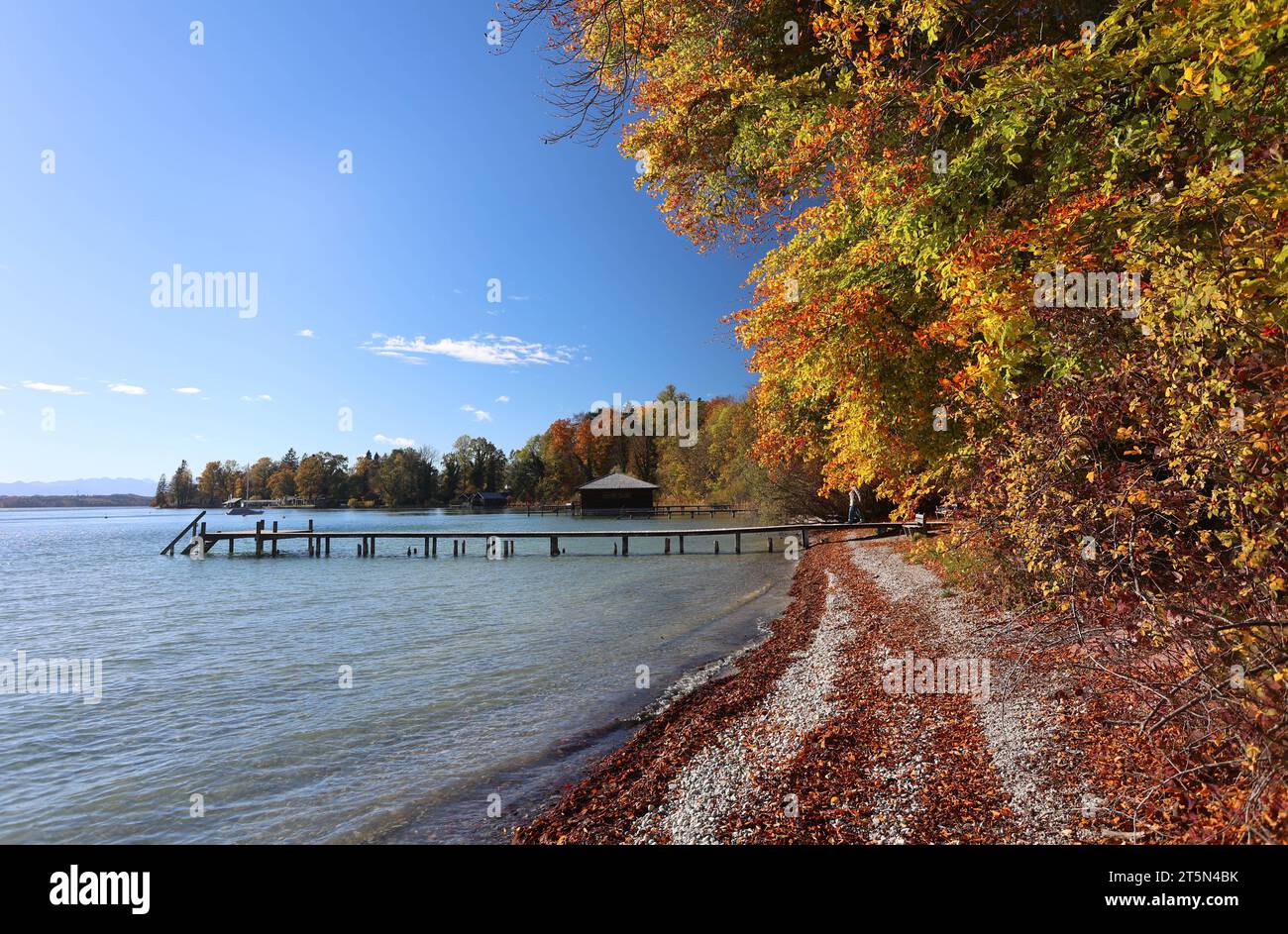 Tutzing, Bayern, Deutschland 06. November 2023: Ein Herbsttag in Tutzing Landkreis Starnberg. Hier der Blick vom Tutzinger Freibad auf den Starnberger See, herbstlich, Färbung, Laub, Herbstbild, Steg, Ufer,Tourismus, spazieren, wandern,wärme *** Tutzing, Bayern, Deutschland 06 November 2023 ein Herbsttag im Stadtteil Tutzing Starnberg hier der Blick vom Tutzing Freibad auf den Starnberger See, Herbstfarben, Färbung, Laub, Herbstbild, Steg, Ufer, Tourismus, Wandern, Wärme Stockfoto Tutzing, Bayern, Deutschland 06. November 2023: Ein Herbsttag in Tutzing Landkreis Starnberg. Hier der Blick vom Tutzinger Freibad auf den Starnberger See, herbstlich, Färbung, Laub, Herbstbild, Steg, Ufer,Tourismus, spazieren, wandern,wärme *** Tutzing, Bayern, Deutschland 06 November 2023 ein Herbsttag im Stadtteil Tutzing Starnberg hier der Blick vom Tutzing Freibad auf den Starnberger See, Herbstfarben, Färbung, Laub, Herbstbild, Steg, Ufer, Tourismus, Wandern, Wärme Stockfoto