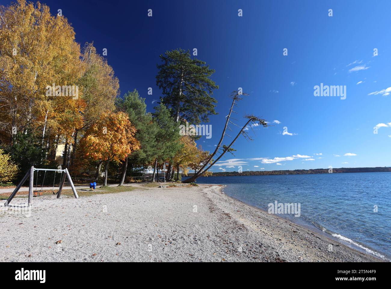 Tutzing, Bayern, Deutschland 06. November 2023: Ein Herbsttag in Tutzing Landkreis Starnberg. Hier der Blick von der Brahmspromenade auf den bekannten schiefen Baum Palme das Ufer und Färbung, Laub, Herbstbild, sowie den Starnberger See, links ein Kinderspielplatz,Tourismus, spazieren, wandern,wärme *** Tutzing, Bavaria, Deutschland 06 November 2023 ein Herbsttag im Stadtteil Tutzing Starnberg hier der Blick von der Brahmspromenade auf die berühmte Schiefe Baumpalme das Ufer und Färbung, Laub, Herbstbild, sowie den Starnberger See, links ein Kinderspielplatz, Tourismus, Wandern, Wandern, Stockfoto Tutzing, Bayern, Deutschland 06. November 2023: Ein Herbsttag in Tutzing Landkreis Starnberg. Hier der Blick von der Brahmspromenade auf den bekannten schiefen Baum Palme das Ufer und Färbung, Laub, Herbstbild, sowie den Starnberger See, links ein Kinderspielplatz,Tourismus, spazieren, wandern,wärme *** Tutzing, Bavaria, Deutschland 06 November 2023 ein Herbsttag im Stadtteil Tutzing Starnberg hier der Blick von der Brahmspromenade auf die berühmte Schiefe Baumpalme das Ufer und Färbung, Laub, Herbstbild, sowie den Starnberger See, links ein Kinderspielplatz, Tourismus, Wandern, Wandern, Stockfoto