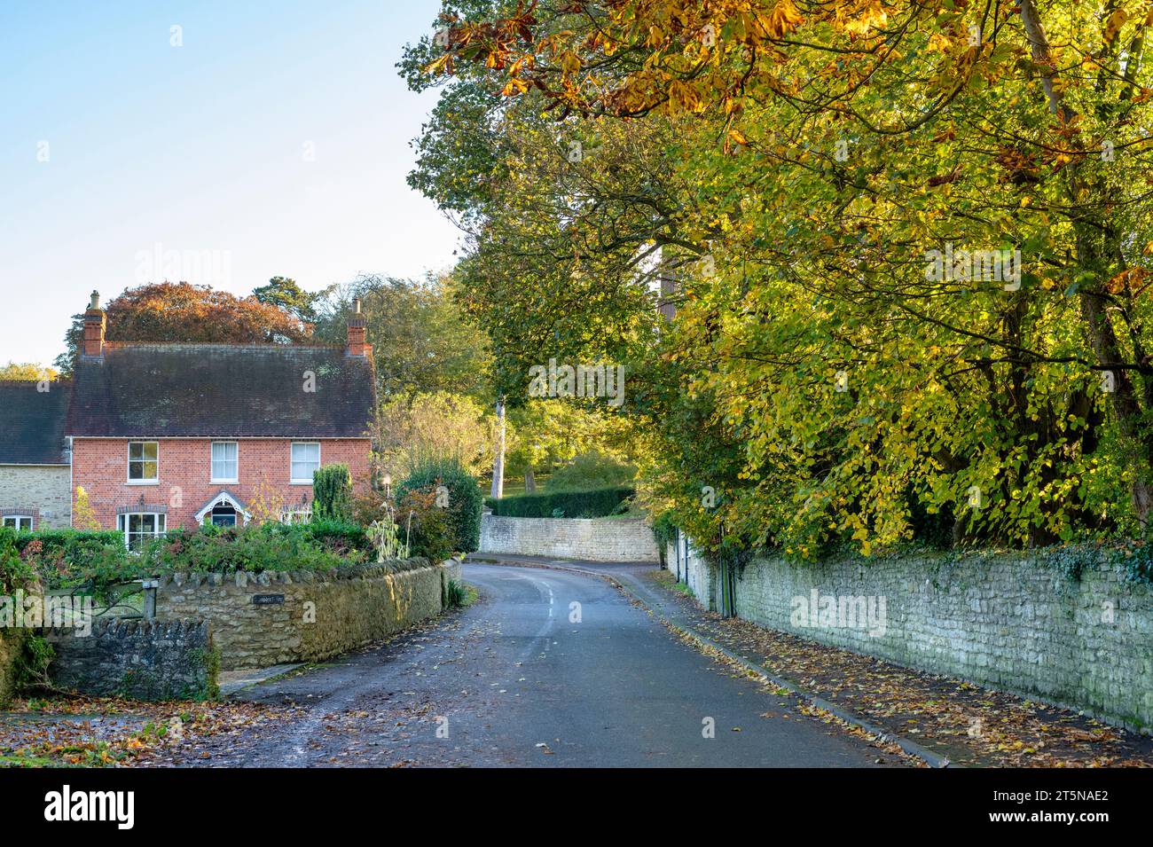 Am frühen Morgen im Herbst. Great Milton, Oxfordshire, England Stockfoto