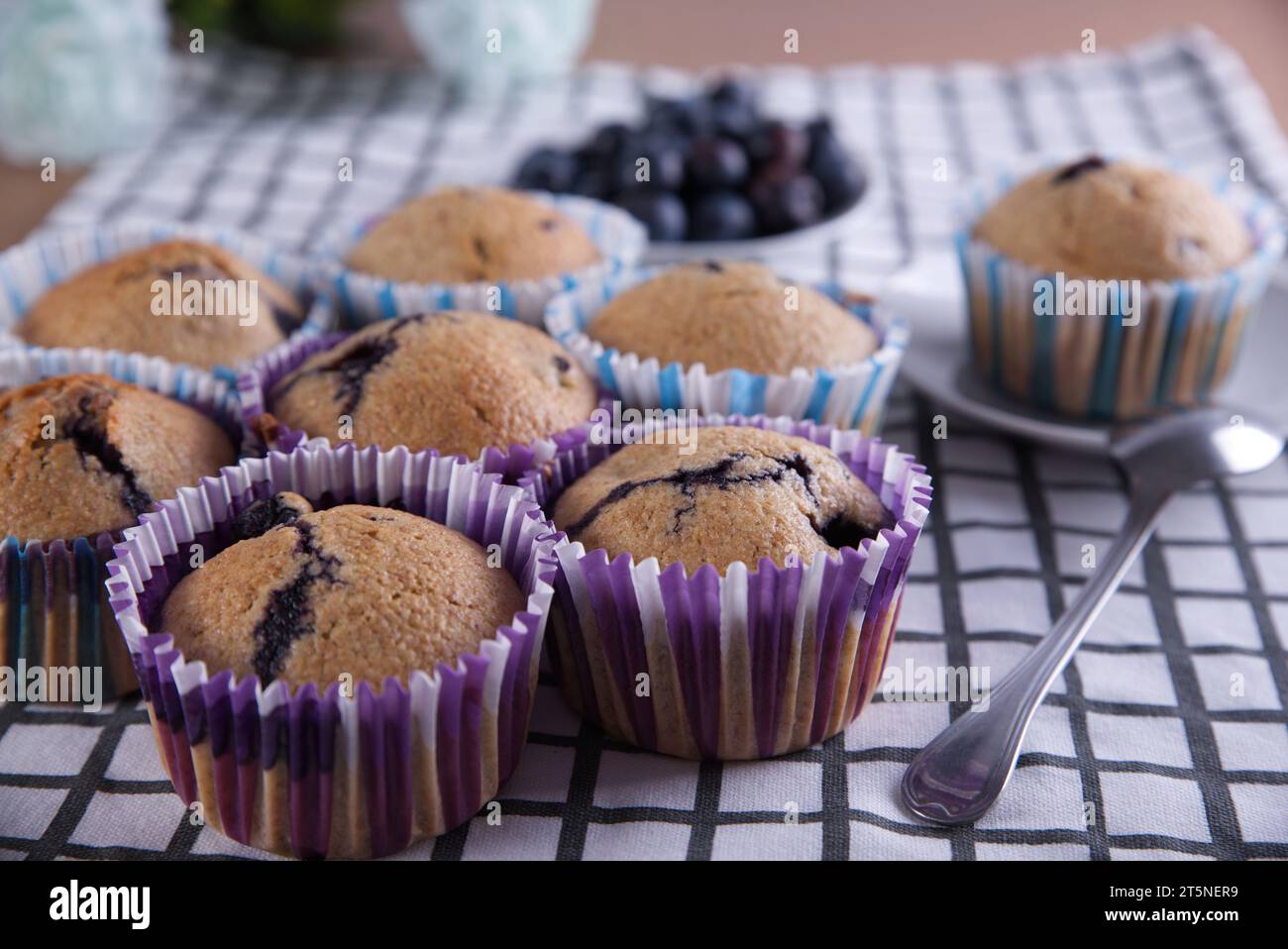 Köstliche hausgemachte Cupcakes gefüllt mit Heidelbeeren und präsentiert in kleinen Formen. Stockfoto
