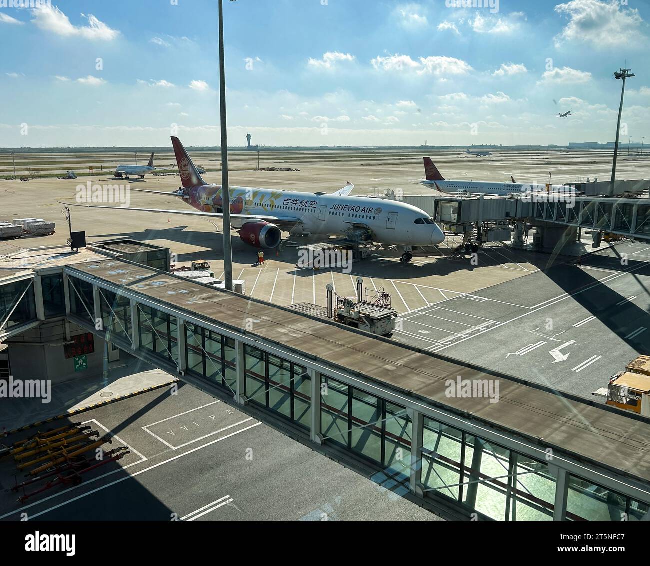 Shanghai, China, Blick auf chinesische Flugzeuge auf Tarmac, draußen, Pudong International Airport Stockfoto