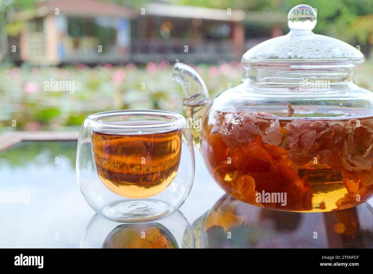 Nahaufnahme einer Tasse Rosentee mit Teekanne auf dem Gartentisch Stockfoto
