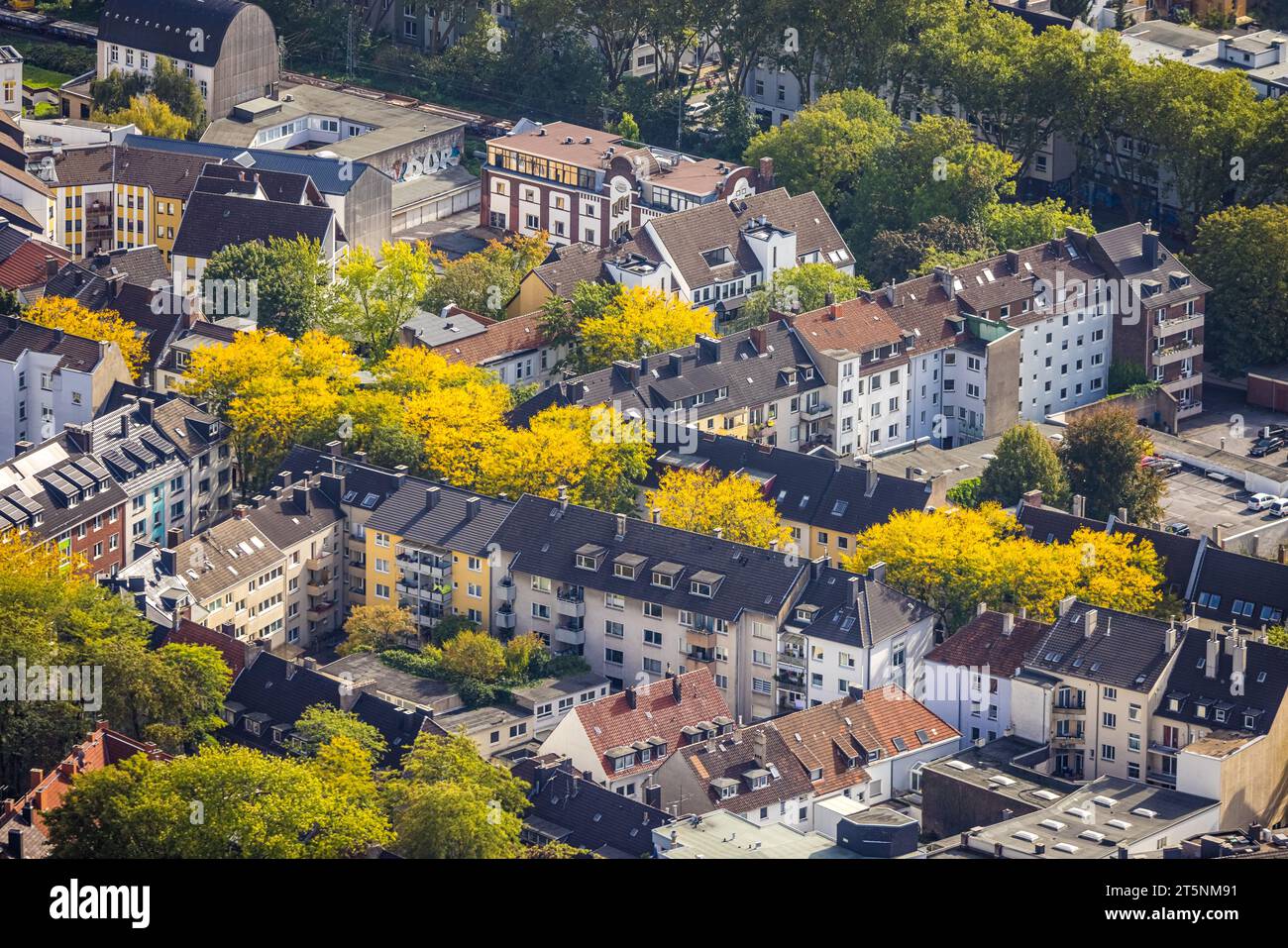 Luftaufnahme, herbstliche Bäume im Wohngebiet Gutenbergstraße, Stadt, Dortmund, Ruhrgebiet, Nordrhein-Westfalen, Deutschland, bunte Bäume, Bäume Stockfoto