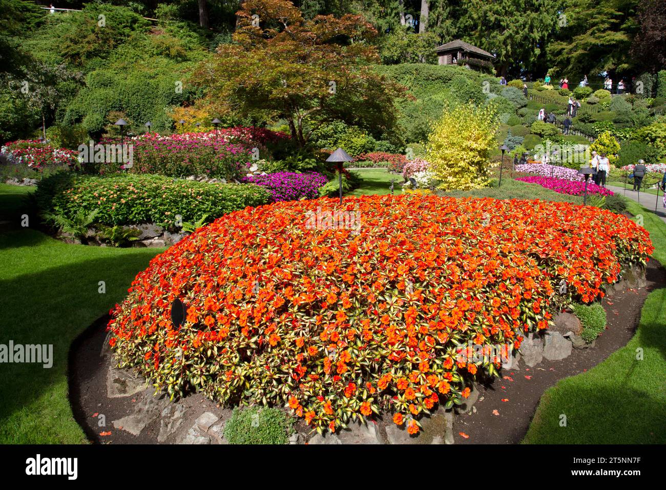 Blumen und Sträucher, Butchart Gardens, National Historic Site, Brentwood Bay, British Columbia, Kanada Stockfoto