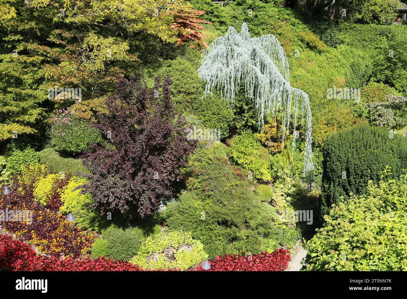 Blumen und Sträucher, Butchart Gardens, National Historic Site, Brentwood Bay, British Columbia, Kanada Stockfoto