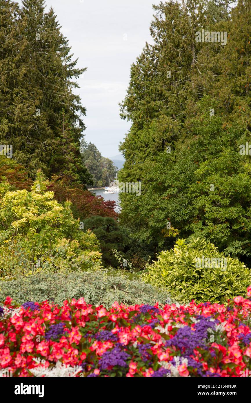 Blumen und Sträucher, Butchart Gardens, National Historic Site, Brentwood Bay, British Columbia, Kanada Stockfoto