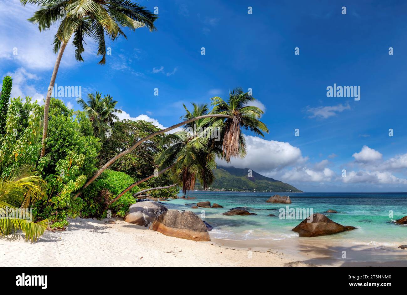 Exotischer Strand, Kokospalmen und wunderschönes Meer mit Felsen am Beau Vallon Beach, Mahe Island, Seychellen. Stockfoto