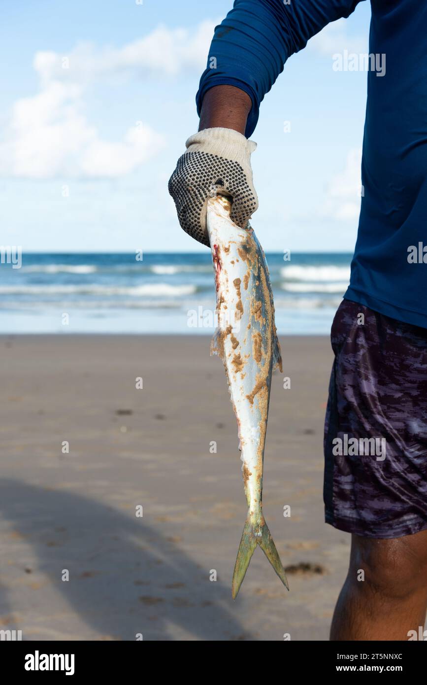 Salvador, Bahia, Brasilien - 26. April 2019: Ein Tarponfisch, Megalops atlanticus, wird von einem Fischer gehalten. Stockfoto