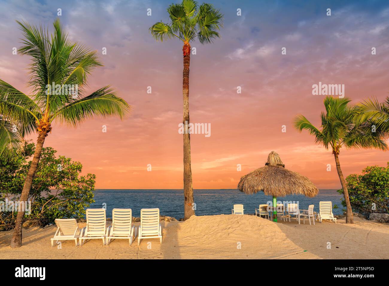 Sonnenuntergang am tropischen Strand mit Palmen an einem Strand in Florida Keys. Stockfoto