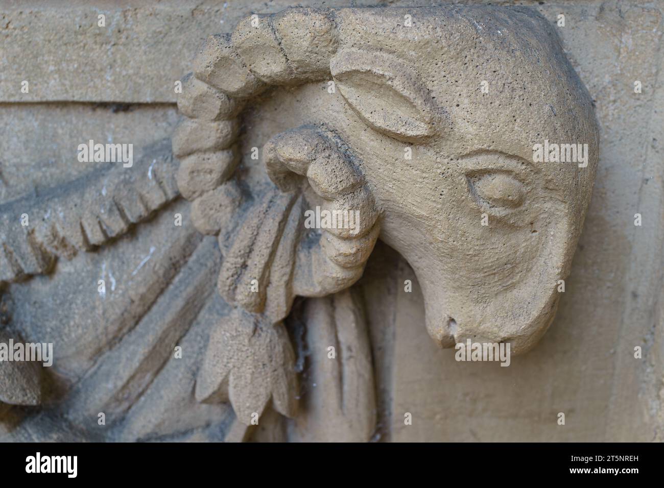 RAM's Kopfschnitzerei am Eingang zur Universitätskirche St. Mary the Virgin, Oxford, England Stockfoto