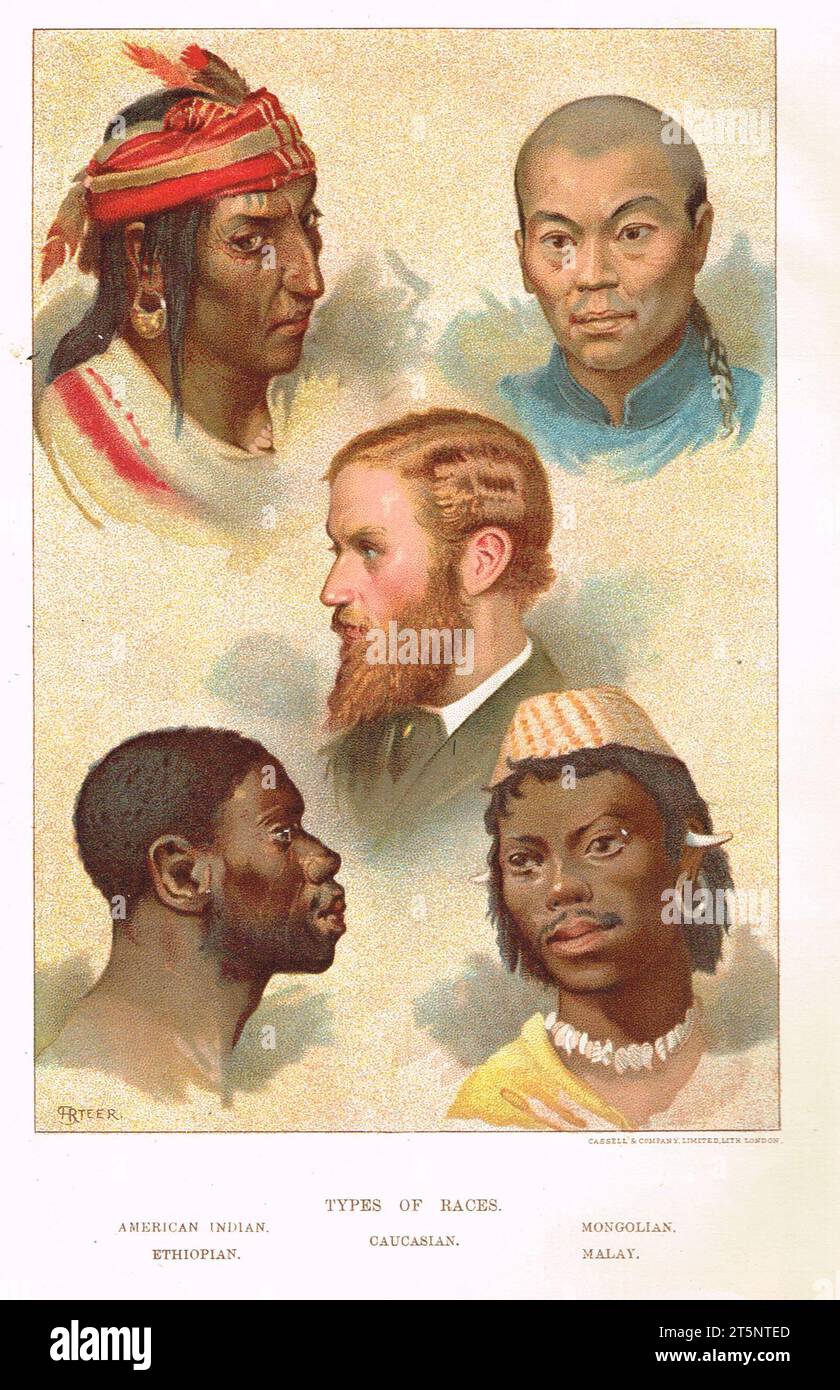 Darstellung der Rassenarten aus dem 19. Jahrhundert Stockfoto